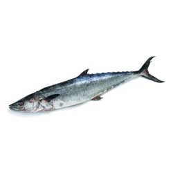 KingFish